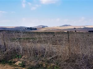 25.2 ha Farm in Malmesbury