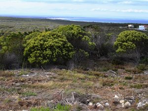 300 m² Land available in Agulhas