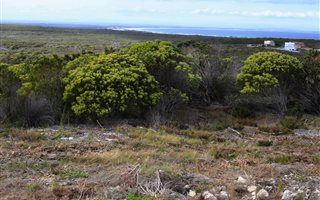 300 m² Land available in Agulhas