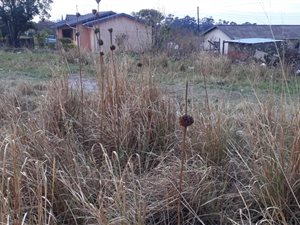 370 m² Land available in Gamalakhe A