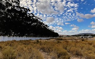 802 m² Land available in Darling