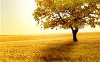 507 m² Land available in Zambezi Manor Estate