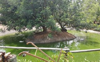 1.5 ha Smallholding in Rustenburg North