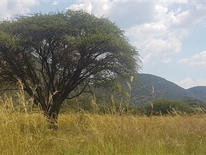 2200 m² Land available in Kranspoort