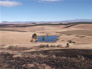 336 ha Farm in Mooi River