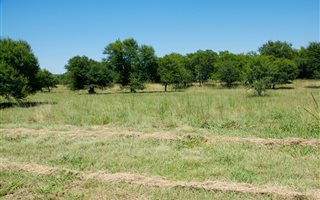 1000 m² Land available in Boschkop