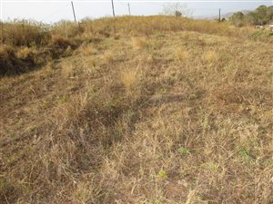 900 m² Land available in Adams Mission