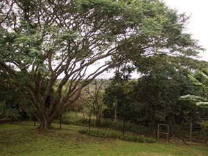 2700 m² Land available in Forest Hills