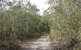 3209 m² Land available in Suurbraak