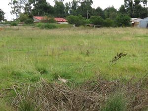 2855 m² Land available in Belfast
