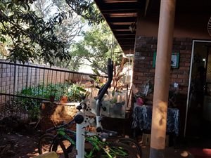 3 Bed House in Louis Trichardt