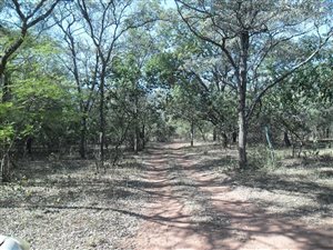 21 ha Farm in Modimole (Nylstroom)