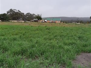 3 ha Farm in Albertinia