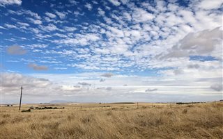990 m² Land available in Darling