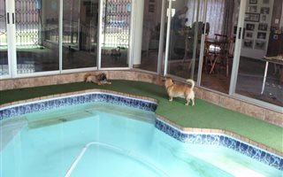4 Bedroom House in Dunnottar