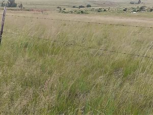 2.2 ha Land available in Kaydale