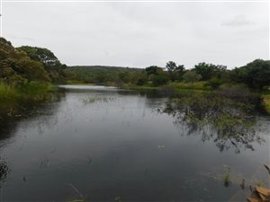171 ha Farm in Mookgophong (Naboomspruit)