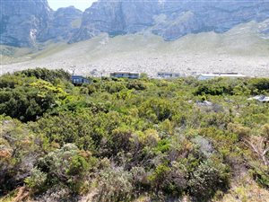1271 m² Land available in Bettys Bay