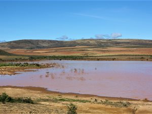 993 ha Farm in Montagu