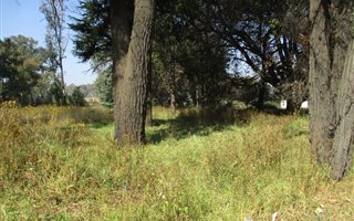 1109 m² Land available in Pollak Park