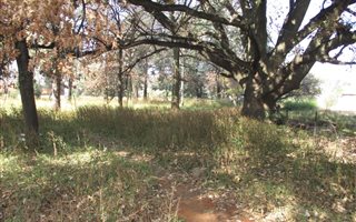 1109 m² Land available in Pollak Park