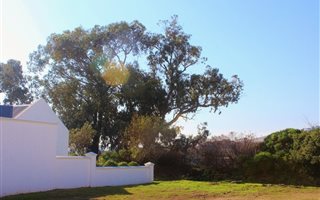 500 m² Land available in Croydon