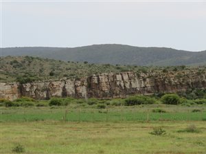 296 ha Farm in Grahamstown
