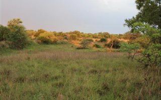30 ha Farm in Dinokeng