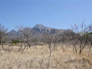1585 m² Land available in Kampersrus AH
