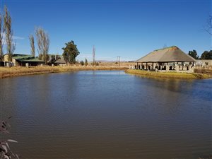 22 ha Farm in Bethlehem Central