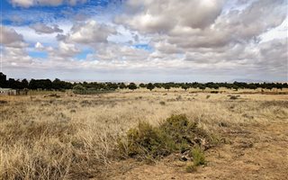 990 m² Land available in Darling