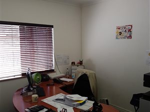 250 m² Office Space in Newton Park