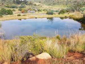 12.8 ha Farm in Dullstroom