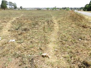2855 m² Land available in Belfast