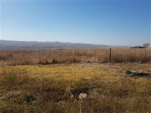 8 ha Farm in Middelburg