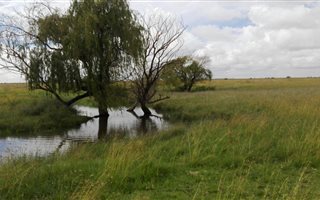 55 ha Farm in Bloemfontein