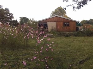 2 Bed House in Rosetta