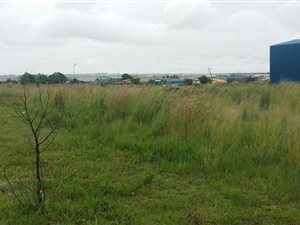 4785 m² Land available in Middelburg