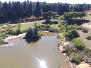 1 ha Land available in White River