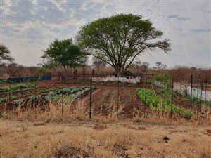 10 ha Farm in Northam