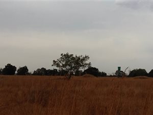 11.1 ha Farm in Grootfontein Estate