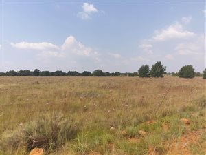 11.1 ha Farm in Grootfontein Estate