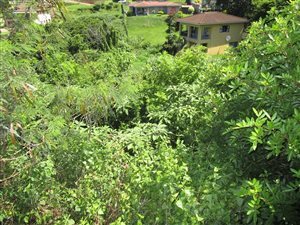 1133 m² Land available in Doon Heights