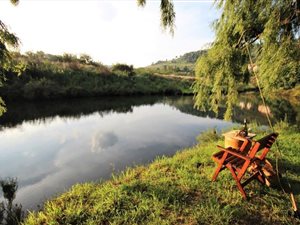 1.3 ha Land available in Dullstroom