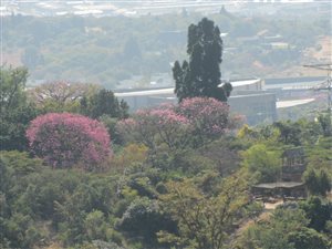 5 ha Land available in Wapadrand