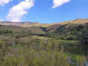 51 ha Smallholding in Kamberg