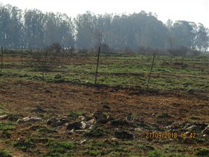 1071 ha Farm in Lichtenburg
