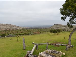 100 ha Farm in Vermaaklikheid