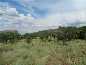 21 ha Farm in Andeon AH