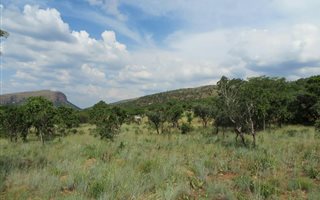 21 ha Farm in Andeon AH